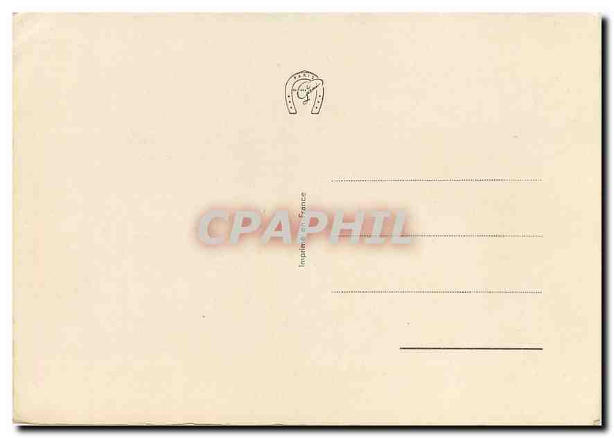 CPM Fleurs — Back