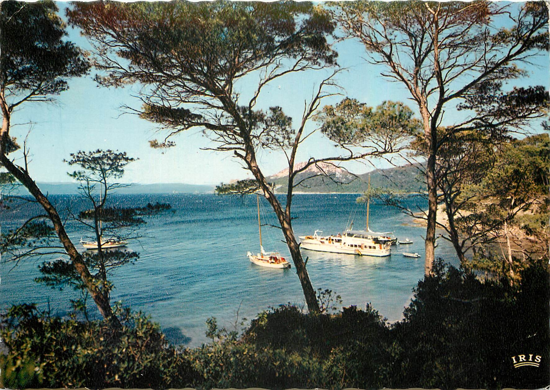CPM Reflets de la Cote d'Azur Ile de Porquerolles Var Calanque de l'Alycastre 