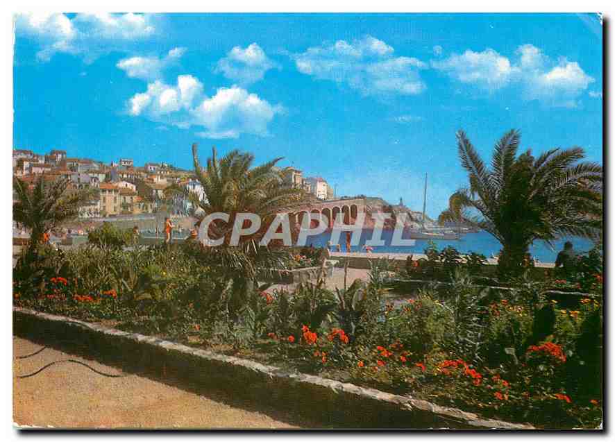 CPM Banyuls sur Mer Promenade du Front de Mer Le Cap d'Oune 