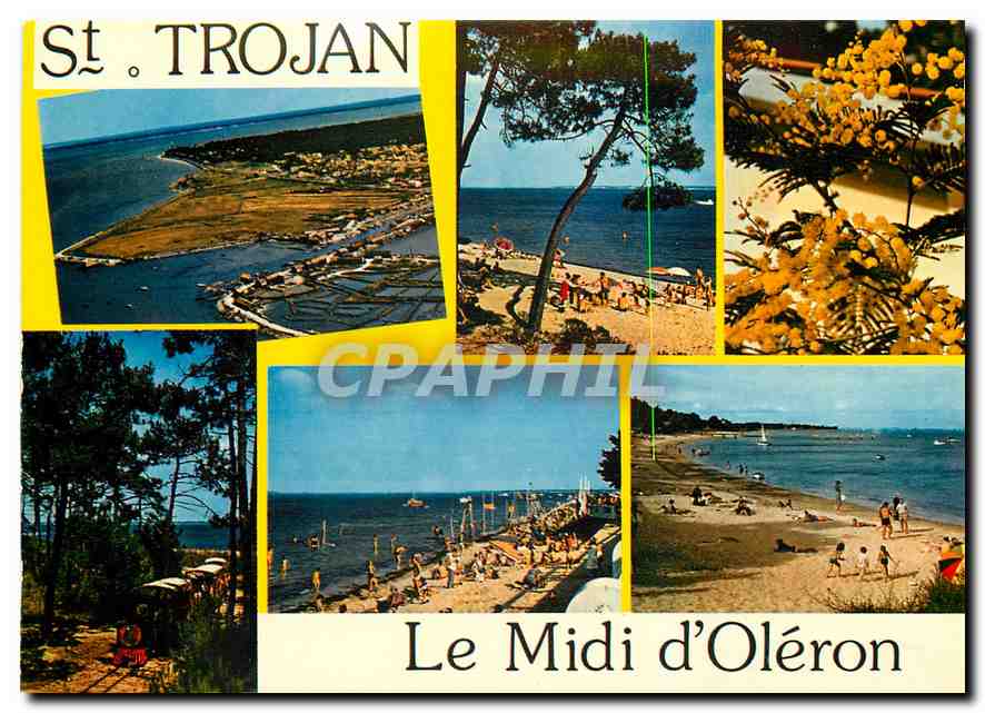CPM Ile d'Oleron Saint Trojan Ses plages son port le petit train 
