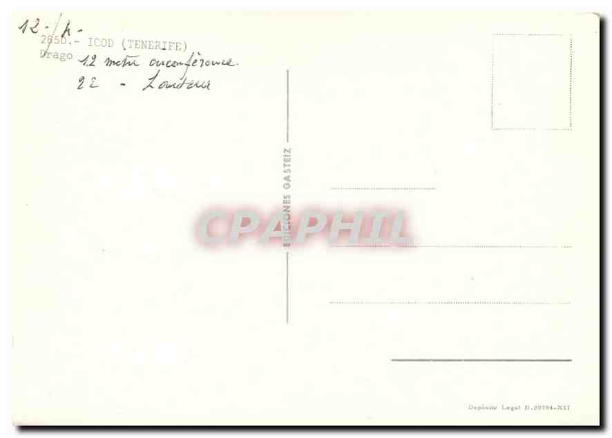CPM Icod Tenerife Drago  — Rückseite