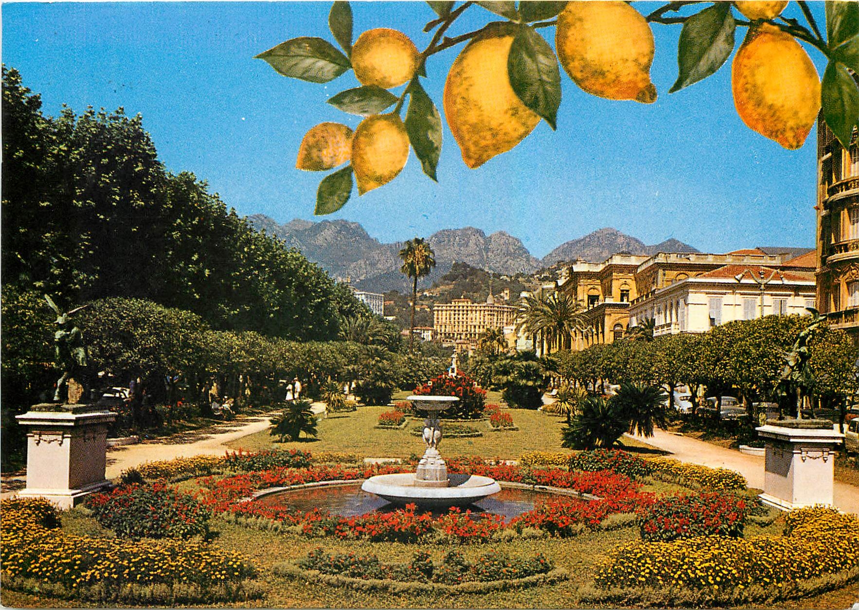 CPM Menton Le jardin public et les montagnes de Sainte Agnes Citrons