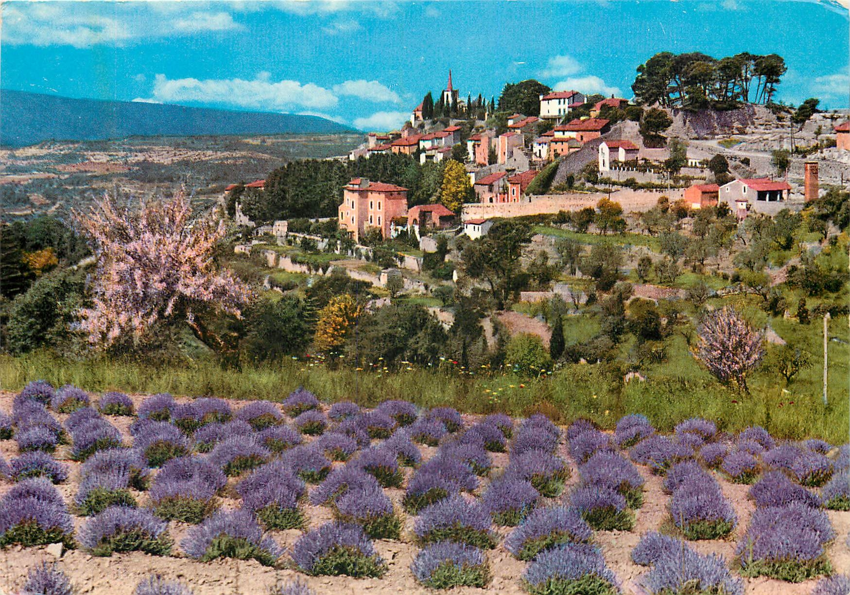 CPM Provence Vieux village et champ de lavande 