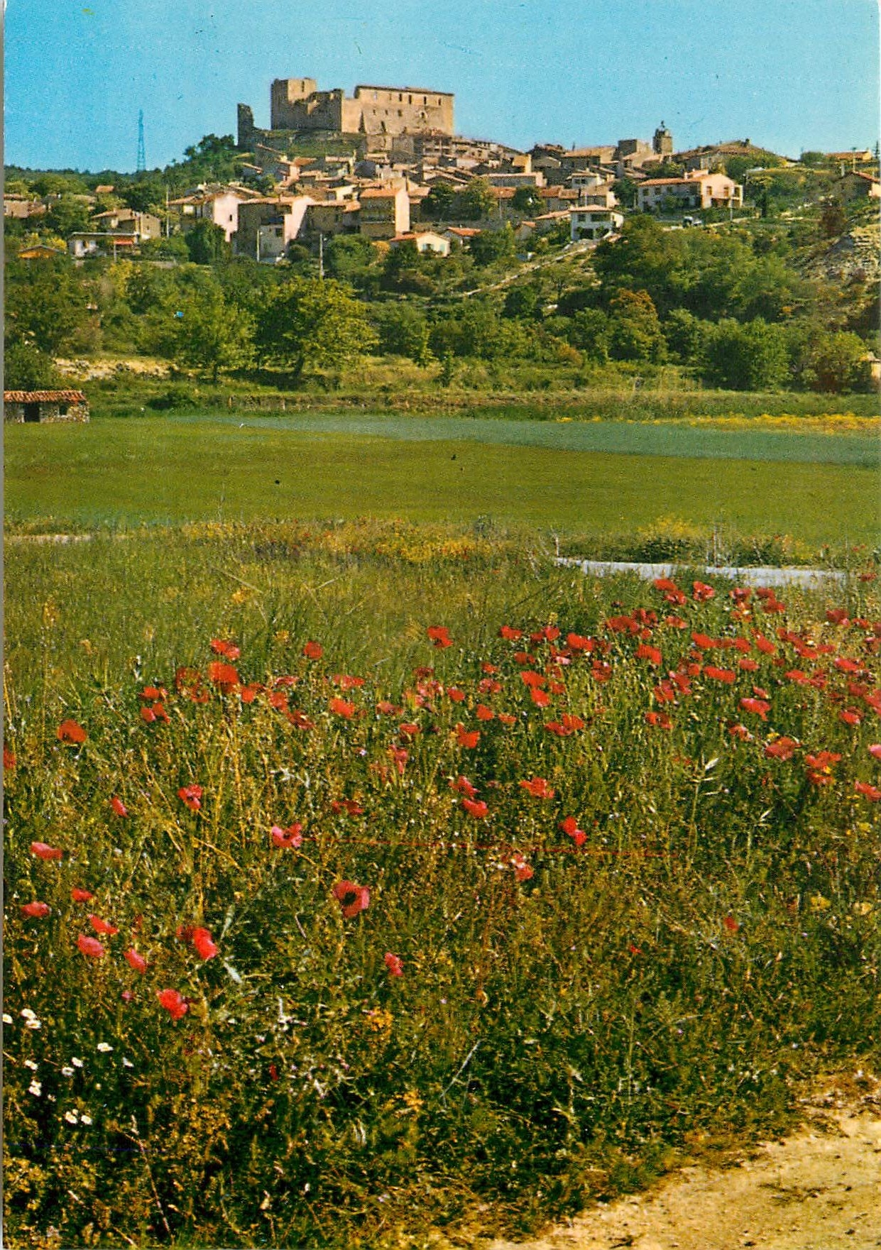 CPM Paysages de France Greoux les Bains Alpes de Haute Provence Station Thermale et Climatique domin