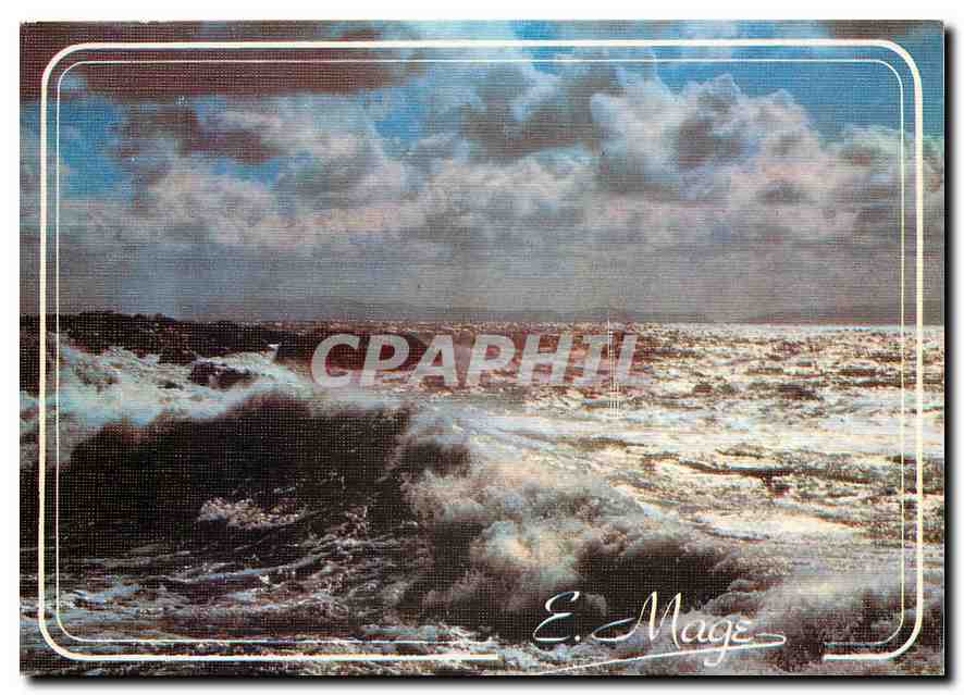 CPM Regard sur le Littoral de la Mer du Nord et de la Manche 