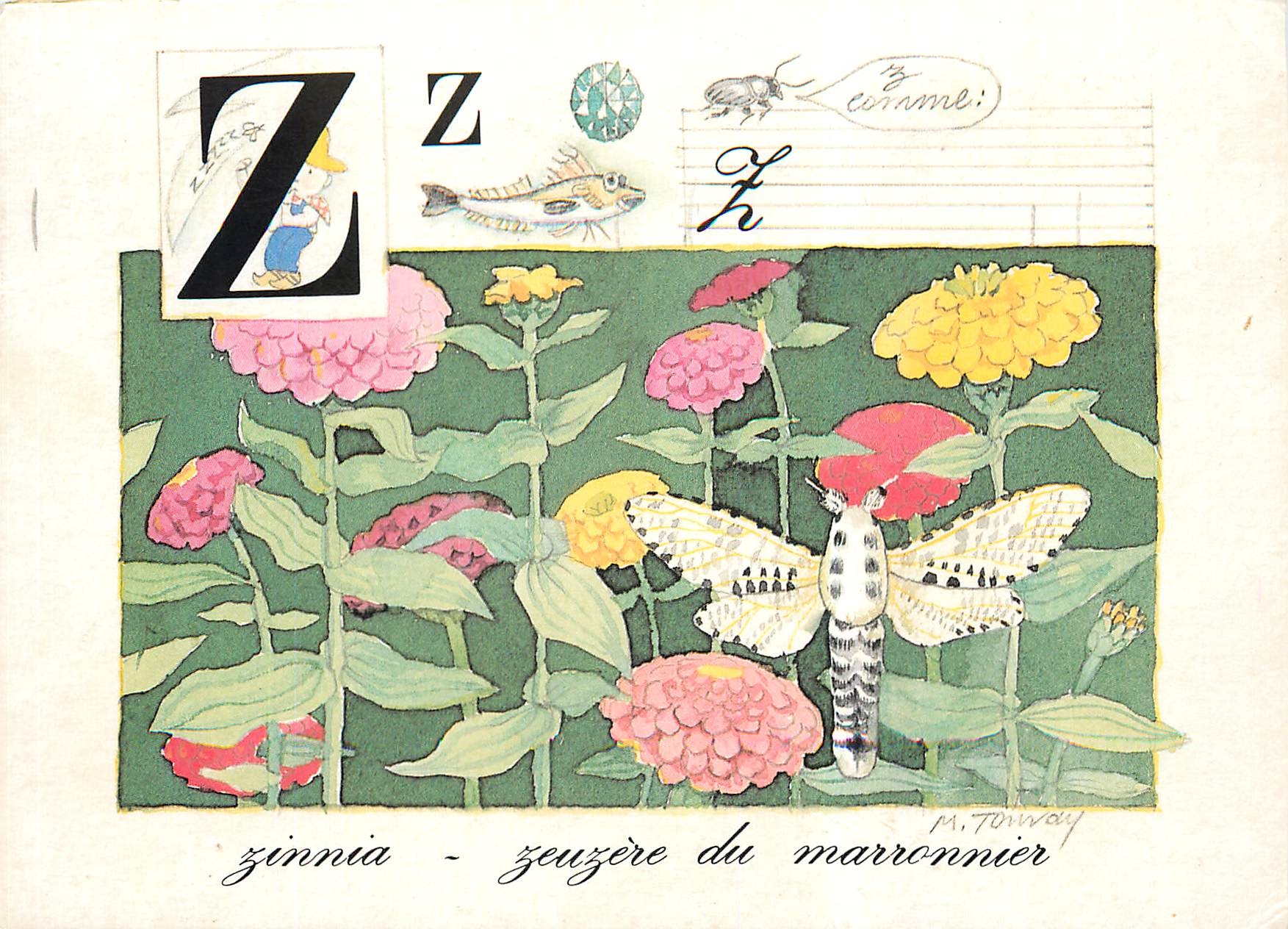 CPM Alphabet de la Nature Z Zinnia Marronnier