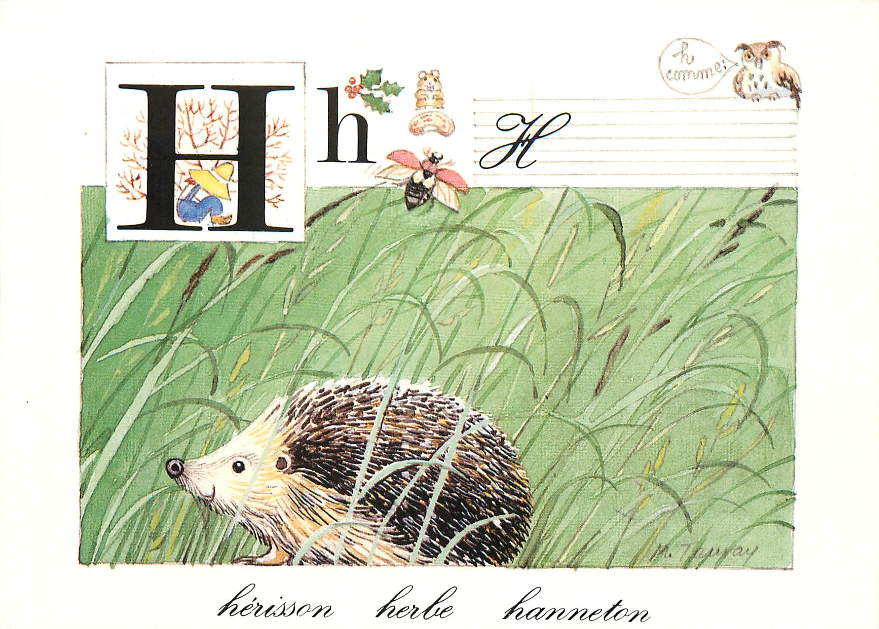 CPM Alphabet de la Nature H Herisson Herbe Hanneton