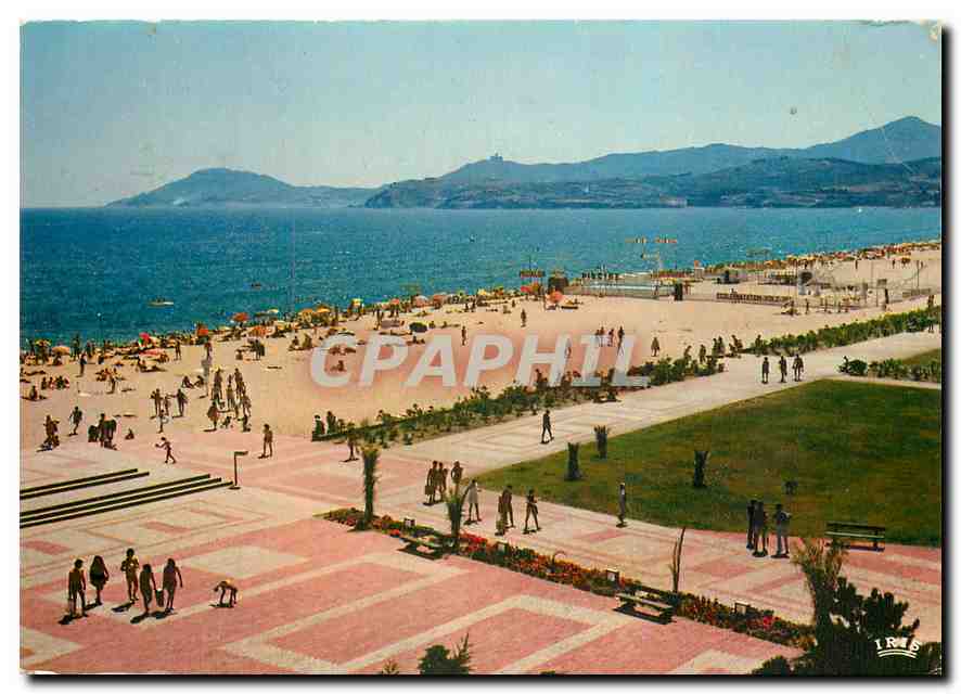 CPM Cote Catalane Argeles sur Mer Pyrenees Orientales La plage et la promenade au fond la chaine des