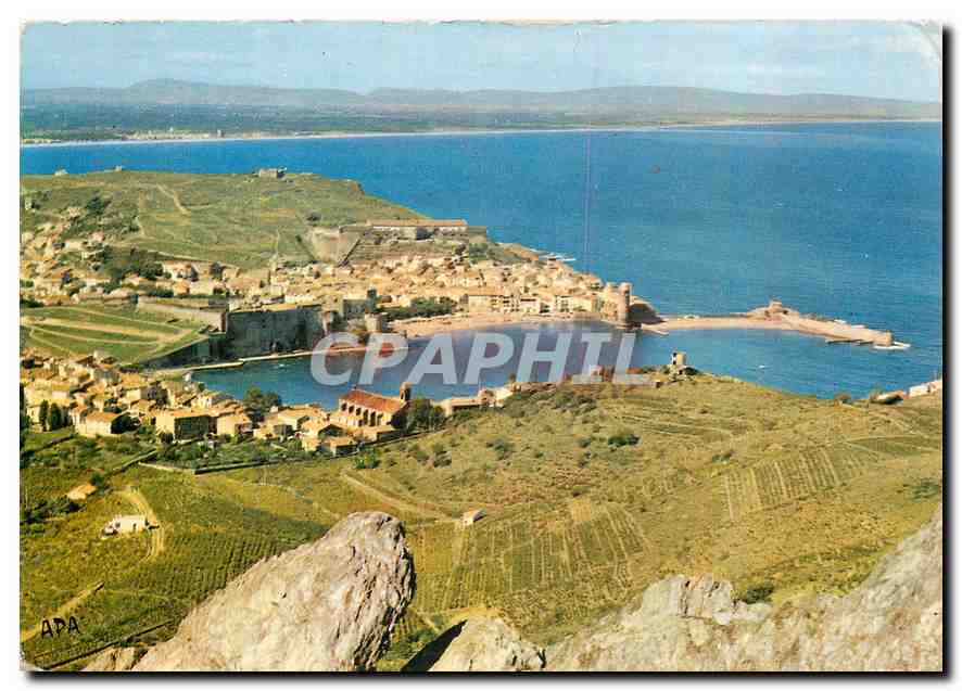CPM En Parcourant la Cote Vermeille Collioure P O Vue panoramique sur Collioure au fond la Plage d'a