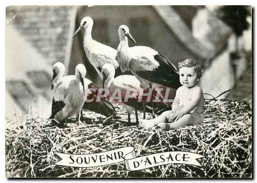 CPM Souvenir d'Alsace Enfant Bebe Cigognes