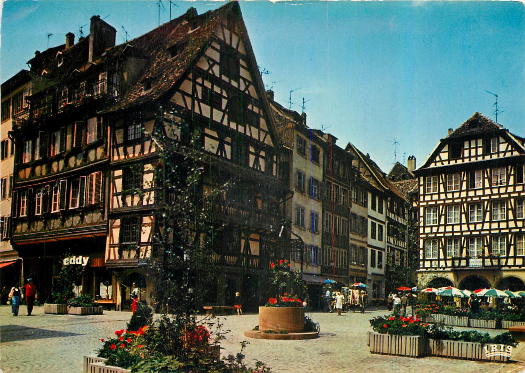 CPM Strasbourg Bas Rhin La Place du Marche aux Cochons de Lait 