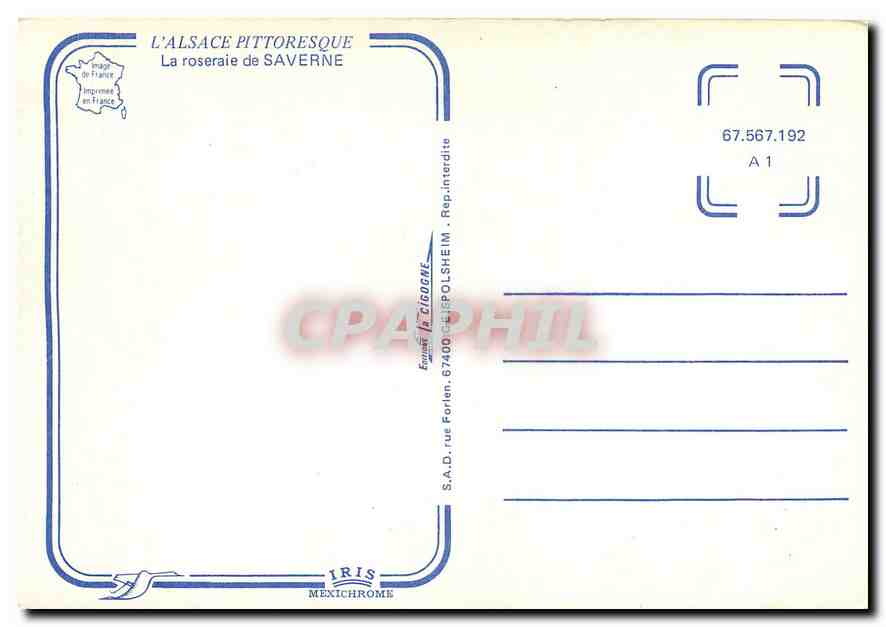CPM L'Alsace Pittoresque La roseraie de Saverne  — Rückseite