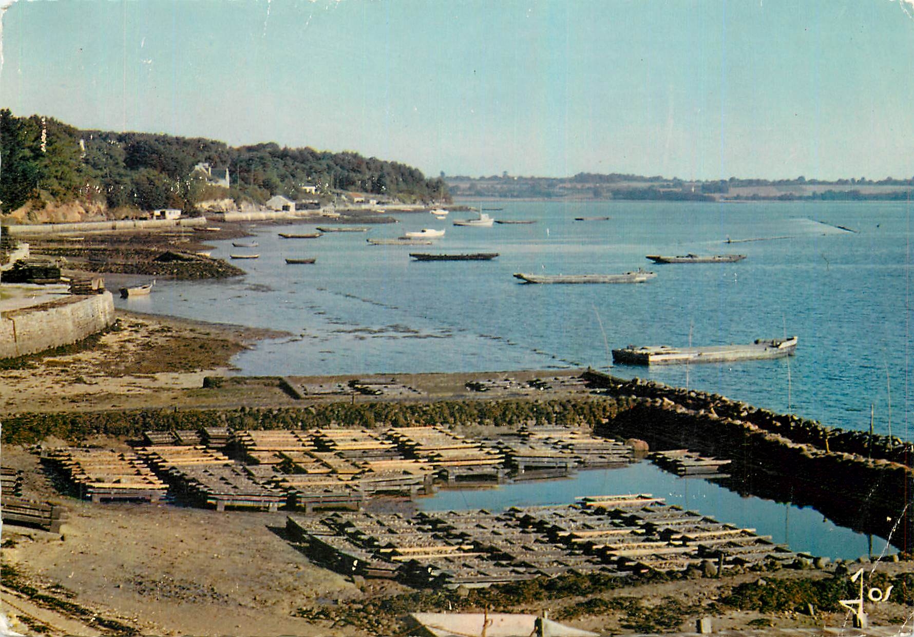 CPM La Bretagne en Couleurs Le Golfe du Morbihan Parc a huitres Ostreiculture