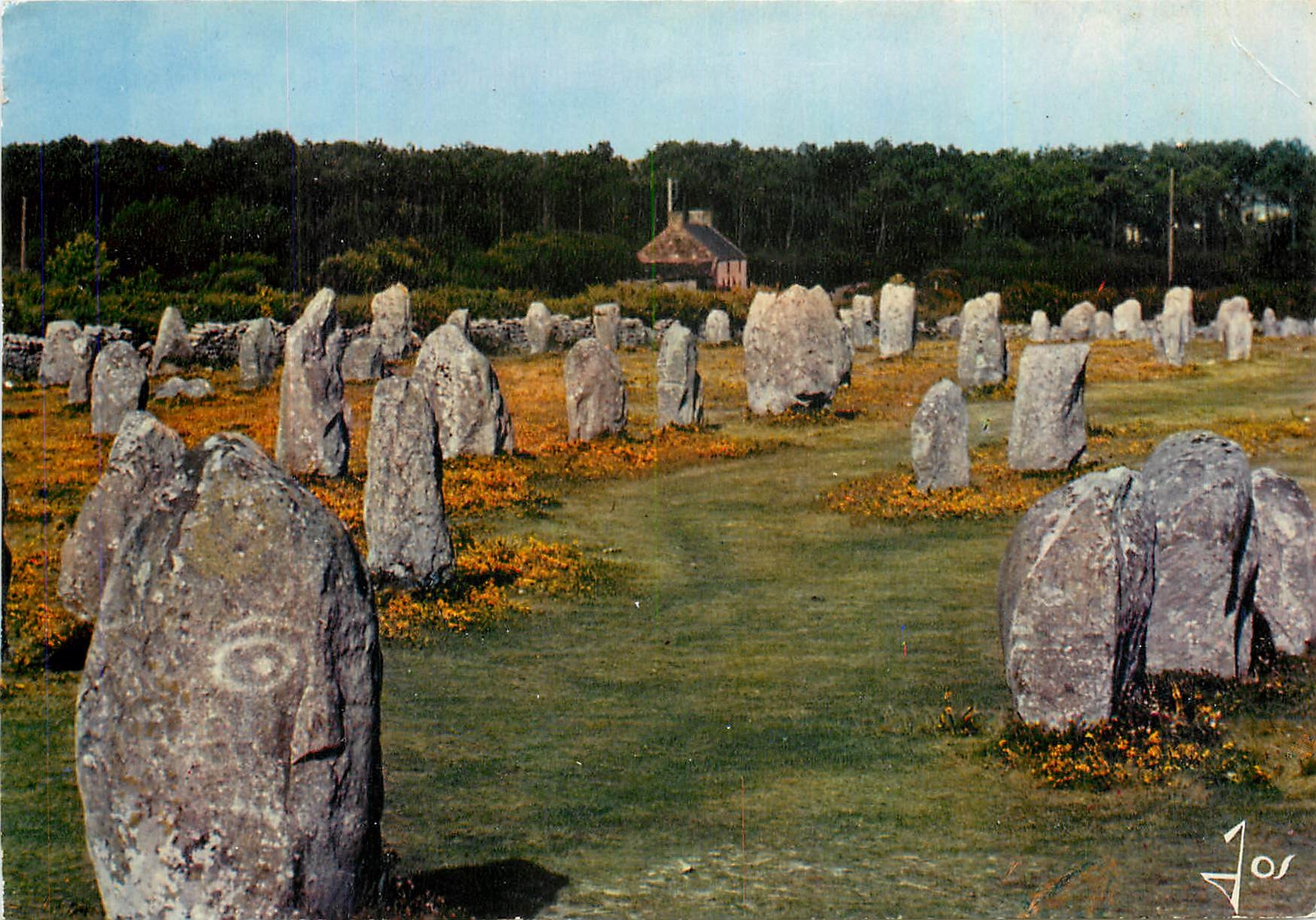 CPM La Bretagne en Couleurs Les alignements du Menec dans la region de Carnac 