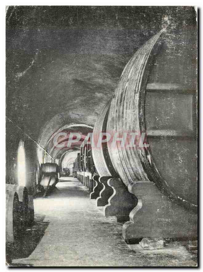 CPM Galerie des vins de Reserve Moet et Chandon Epernay Champagne