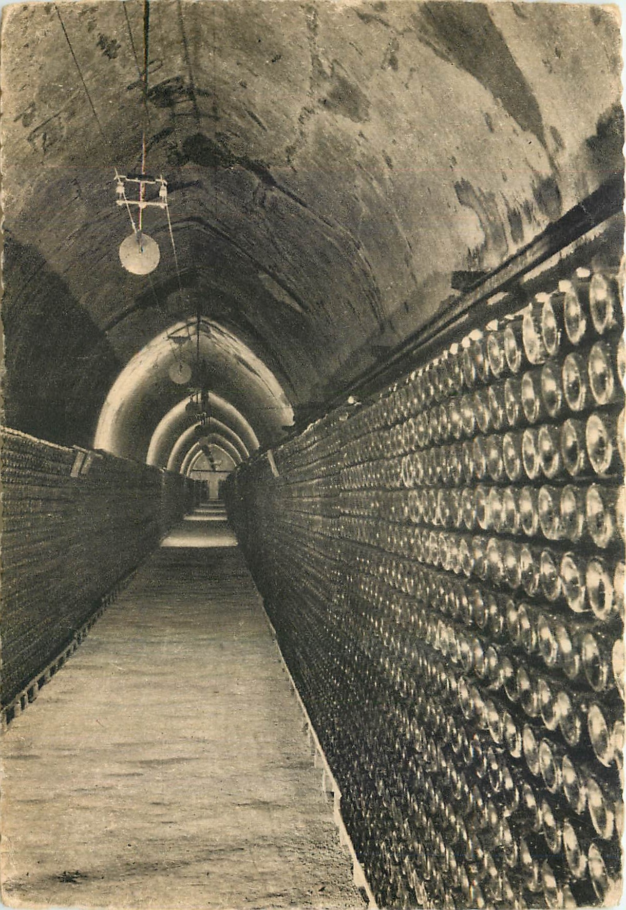 CPM Champagne Pommery et Greno Reims Une galerie de vins sur lettes 