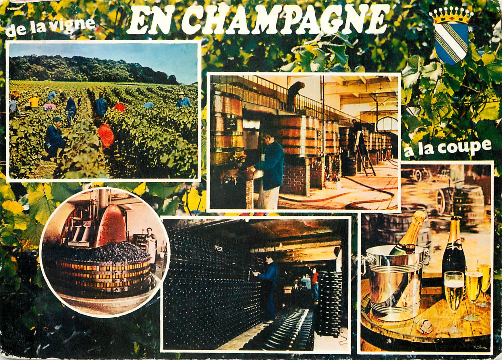 CPM La cueillette le pressoir la cuverie la cave la degustation du prestigieux vin de Champagne 