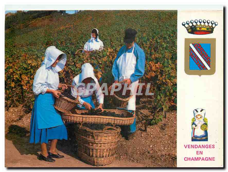 CPM En Champagne France 