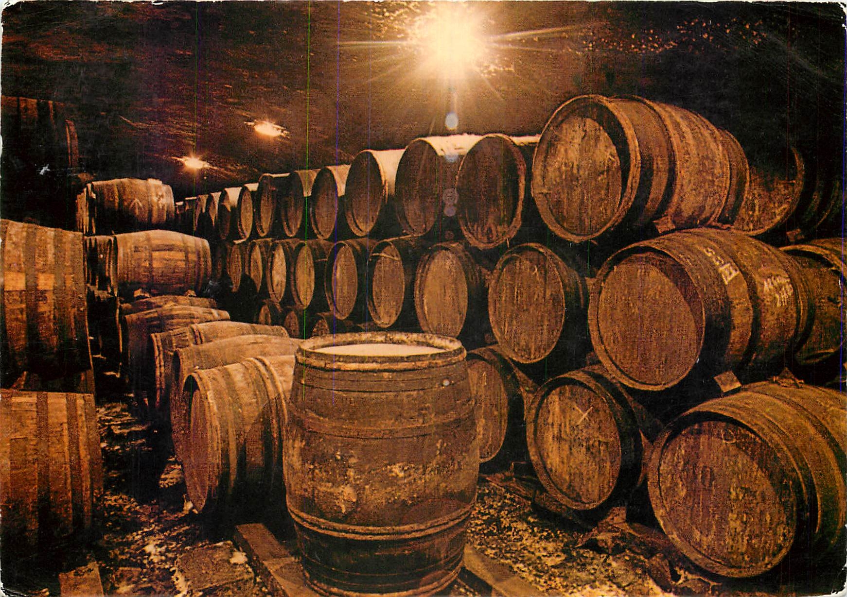 CPM Le Roussillon terroir des Rivesaltes Caves en Roussillon 