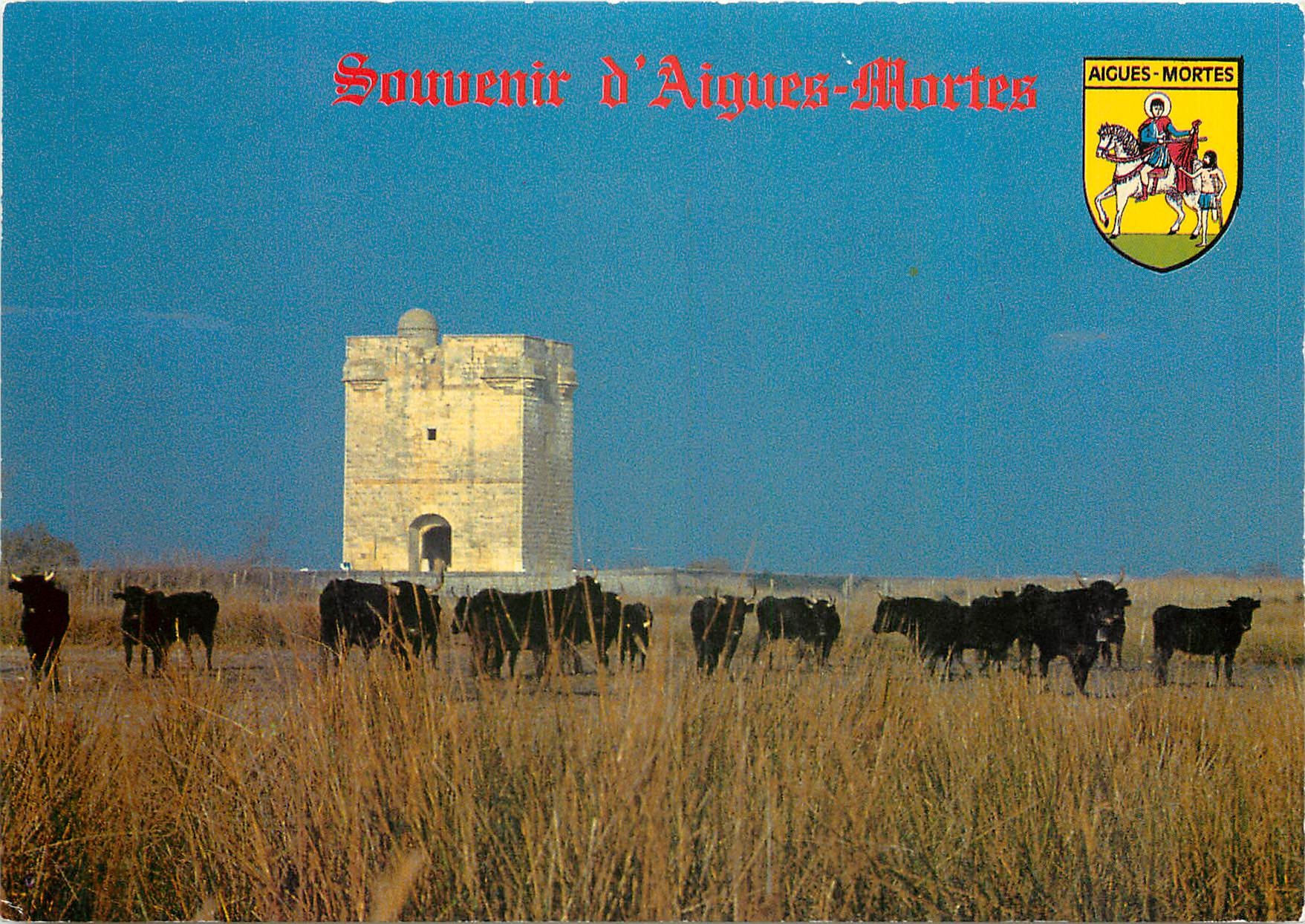 CPM Aigues Mortes La Tour Carbonniere Ancien Poste de Veille 
