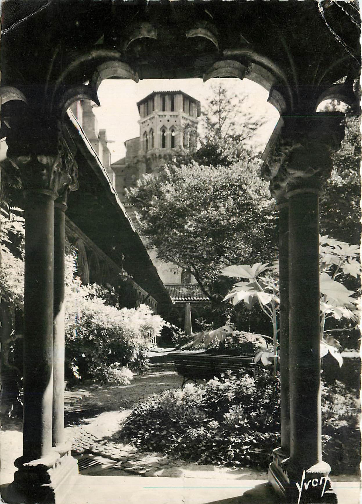 CPM Toulouse Hte Cor Le jardin du musee vu du cloitre 