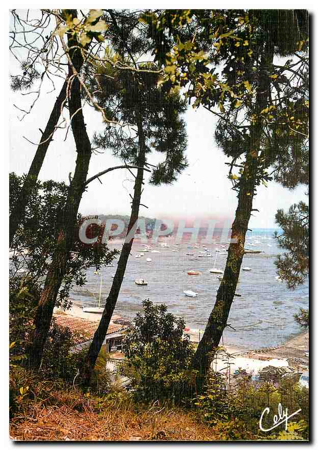 CPM Bassin d'Arcachon Behappee sur le Bassin 