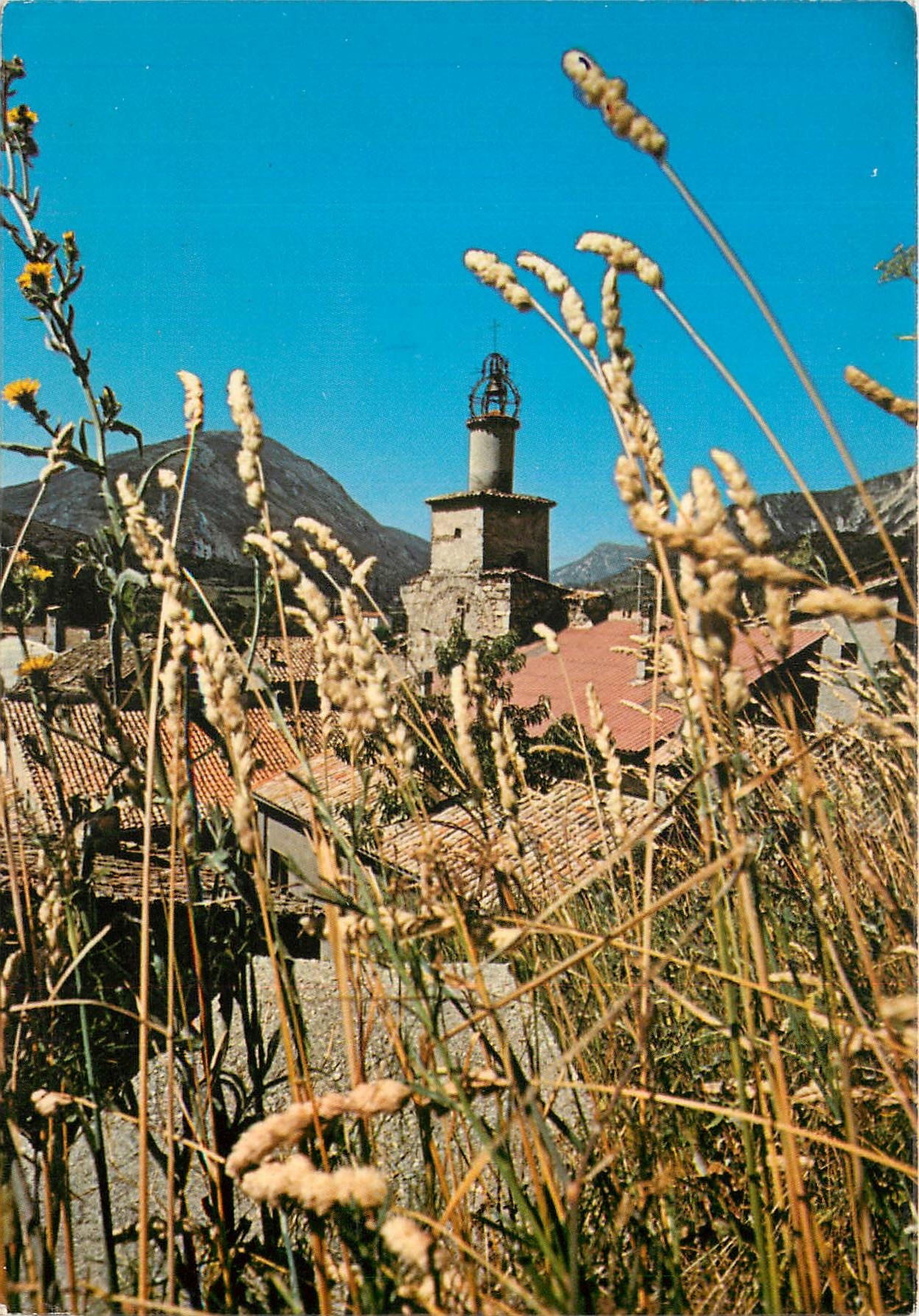 CPM Castellane Alpes de Haute Provence Cite historique situe sur la Roue Napoleon 