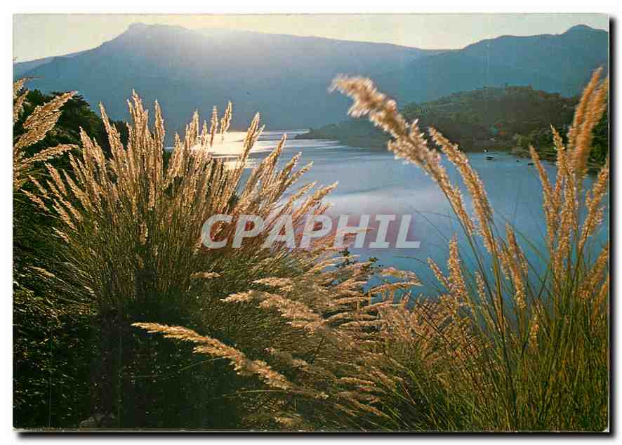 CPM Lac de Castillon Alpes de Haute provence Lac artificiel sur la Haute callee du Verdon 