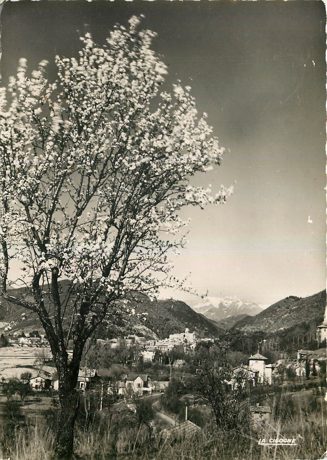 CPM Digne les Bains B A Vue sur la Ville prise de la Route de Nice 