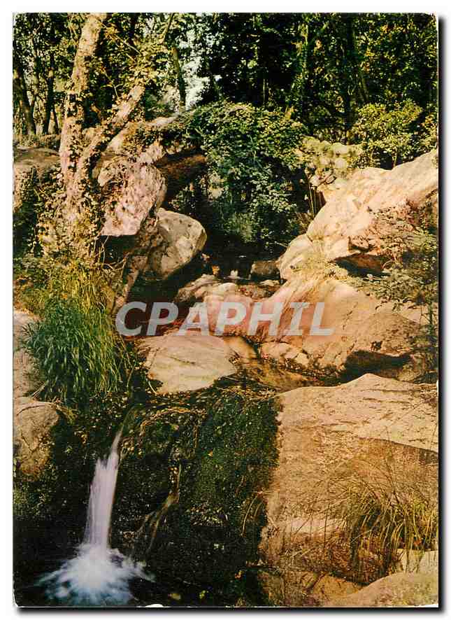 CPM Golfe de St Tropez Var Plan de la Tour Hostellerie de Ponte Romano Le Pont Romain et la Cascade 