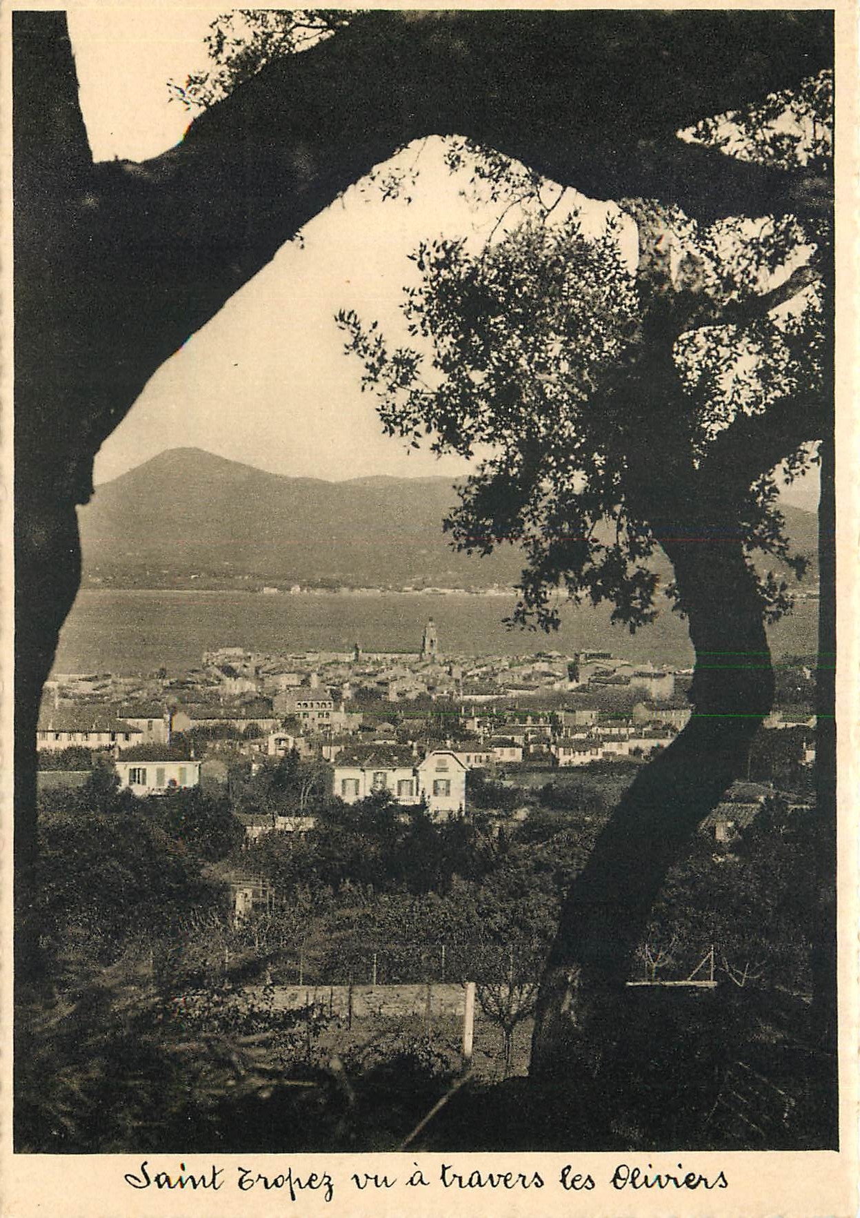 Saint Tropez vu à travers les Oliviers — Édition de Luxe, Condorèver, Libraire, St-Tropez — n° 636