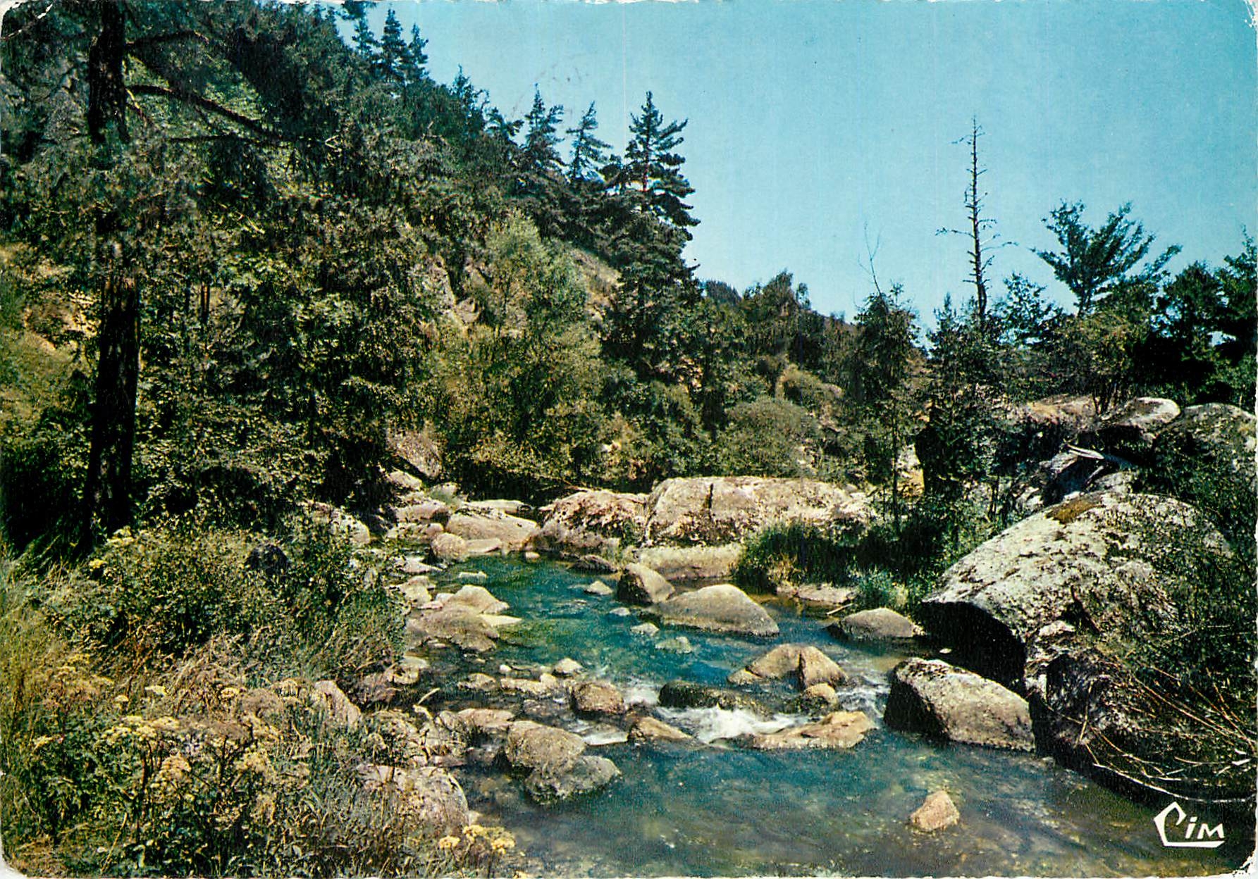 CPM Les Beaux Sites de France Un coin de Peche en Lozere 