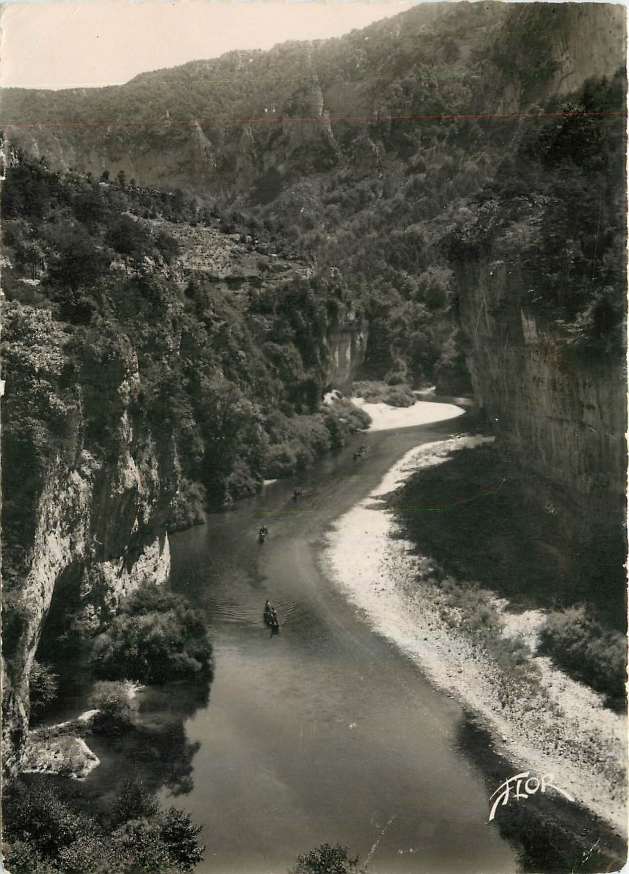 CPM Les Gorges du Tarn Convoi des Barques dans les Detroits 