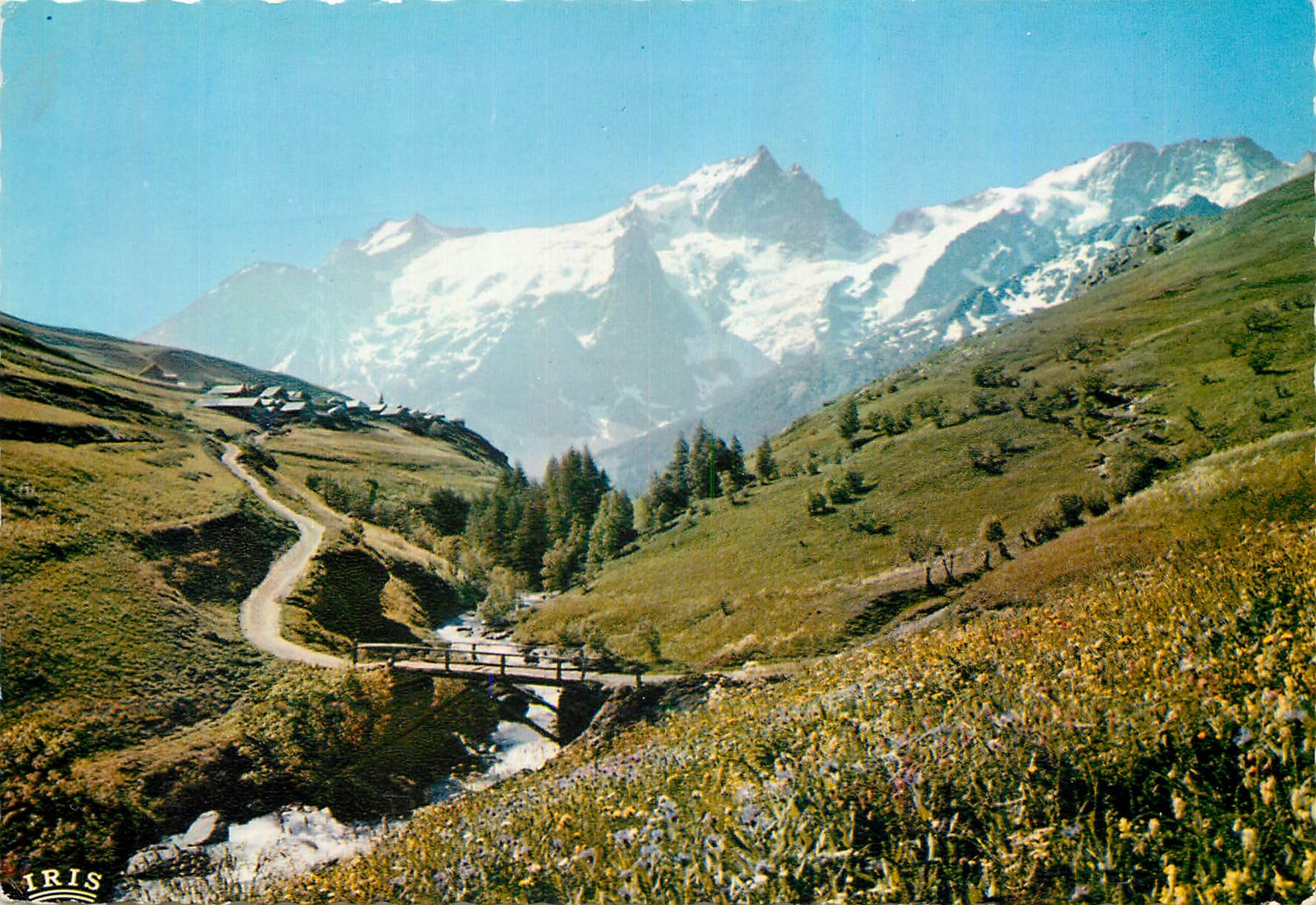 Massif de Loisans — Les Prés en fleurs face à la Meije (3983 m) — IRIS