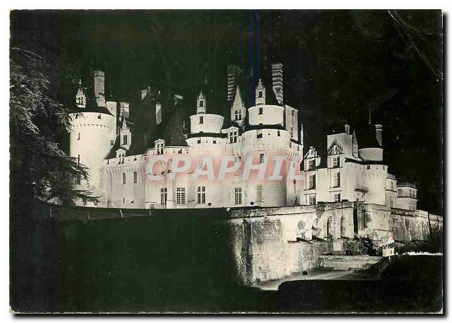 CPM En Touraine Rigny Usse Le Chateau illumine 