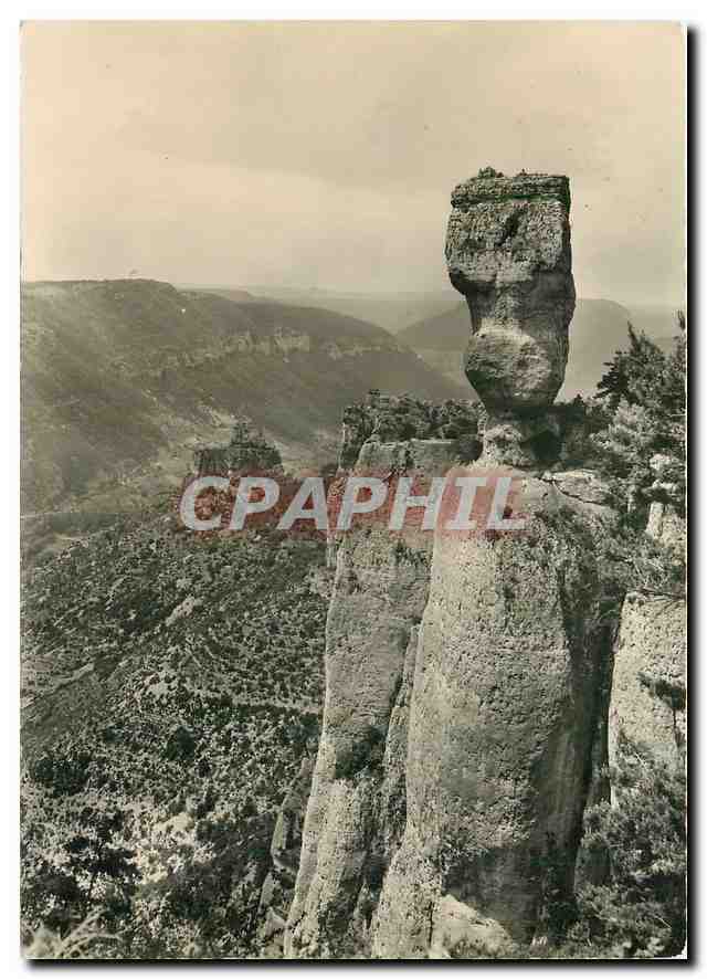 CPM Gorges de la Jonte Lozere Sur la Corniche du Causse Mejean La Vase de Sevres dominant la vallee 