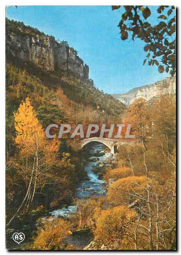 CPM En Parcourant les Gorges de la Jonte Lozere Couleurs d'Automne avec le vieux Pont de Capelan sur