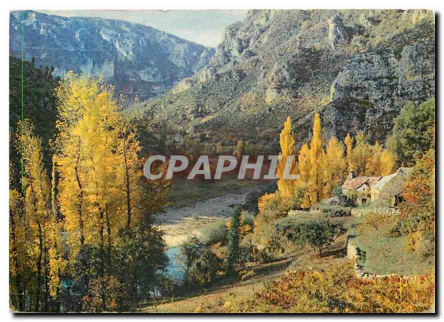 CPM Couleurs et Lumiere de France Une vue des Gorges du Tarn entre la Malene et le Cirque des Baumes