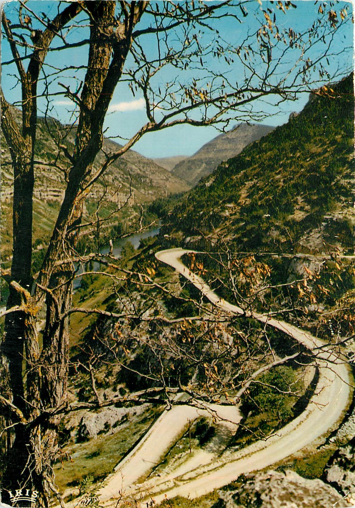 Gorges du Tarn — Les Lacets — Éditions ARIS