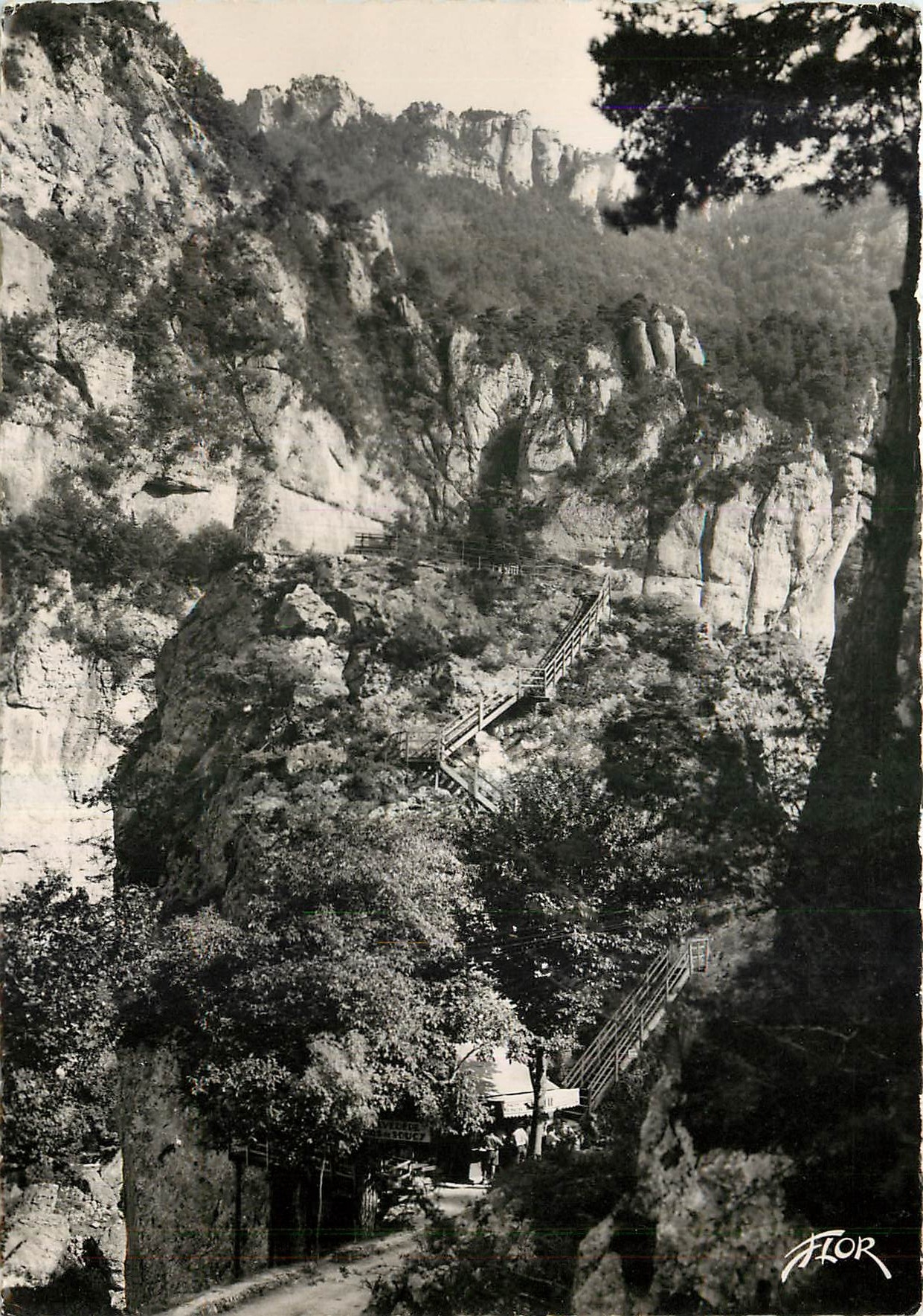 Gorges du Tarn — Entrée — Éditions Florac