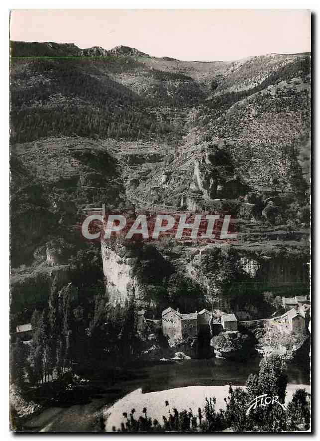 CPM Les Gorges du Tarn Castelbouc Vue generale 
