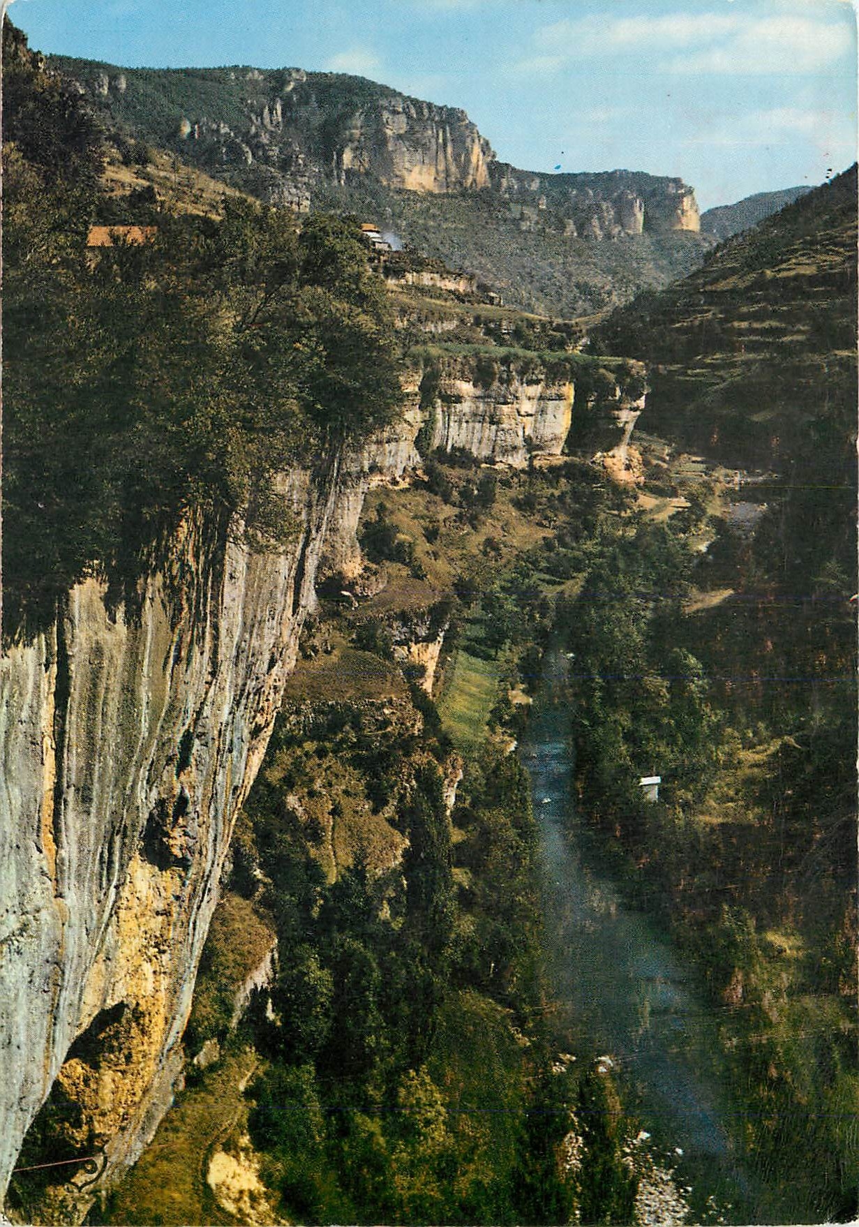 CPM En Parcourant les Gorges de la Jonte Lozere 