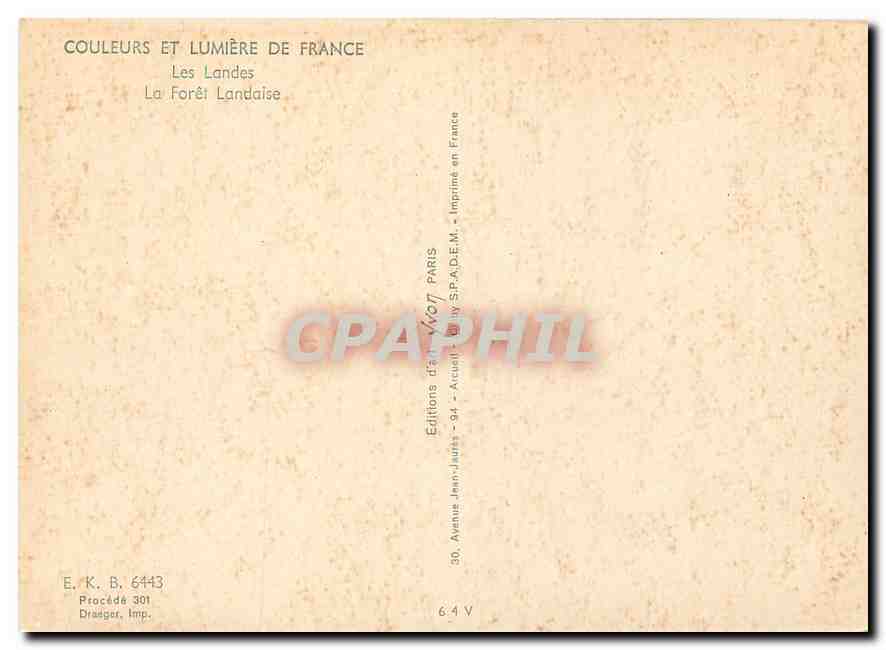CPM Couleurs et Lumiere de France Les Landes La Foret Landaise  — Rückseite