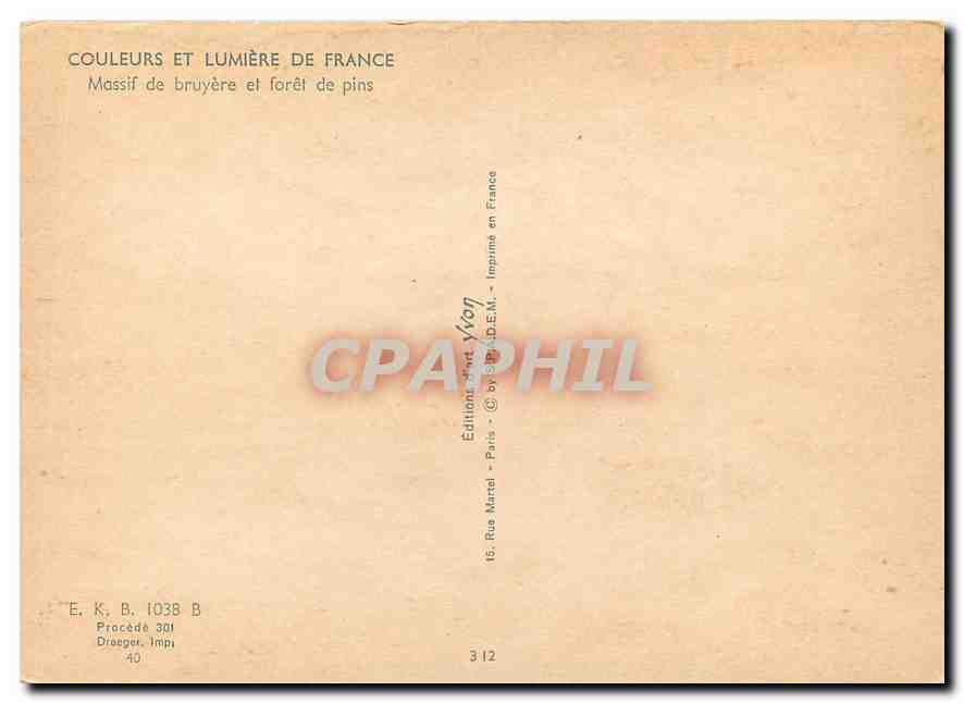 CPM Couleurs et Lumiere de France Massif de bruyere et foret de pins  — Rückseite