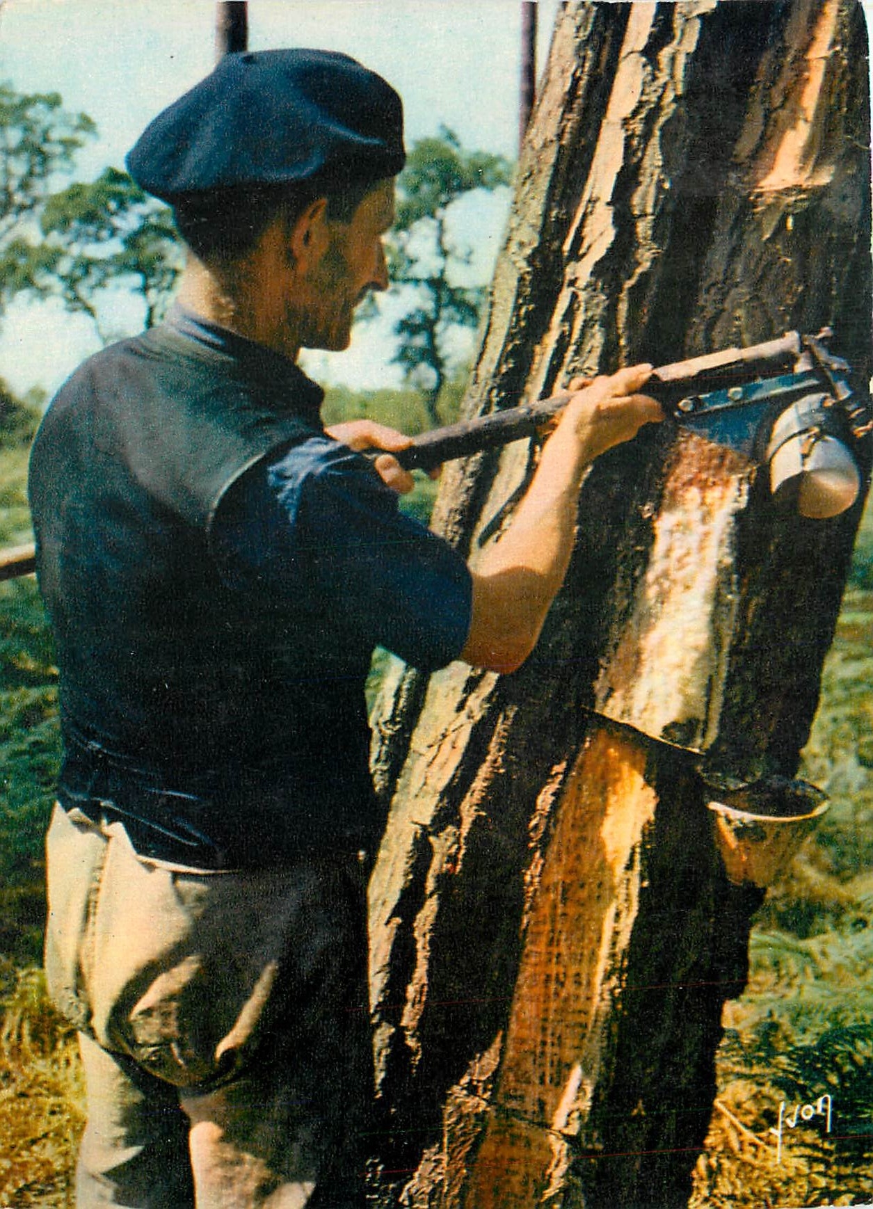 CPM Couleurs et Lumiere de France Les Landes Le Resinier avec son Hop Chock a injectiopn 
