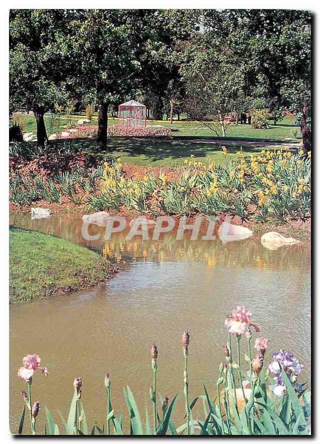 CPM Les Floralies Mediterraneennes Ollioules Toulon Var 