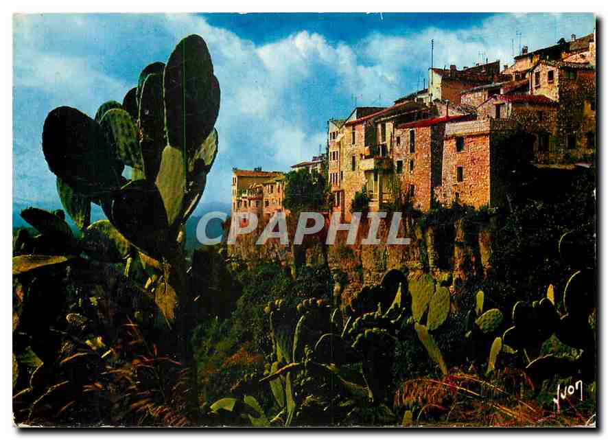 CPM Couleurs et Lumiere de France La Cote d'Azur Tourette sur Loup Alpes Maritimes Village provencal
