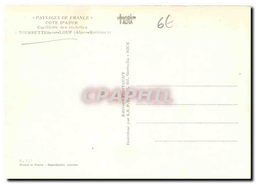Cucullette des violettes — Cucullette-sur-Loup (Alpes-Maritimes) — Éditions PHOTO-GUY — Verso