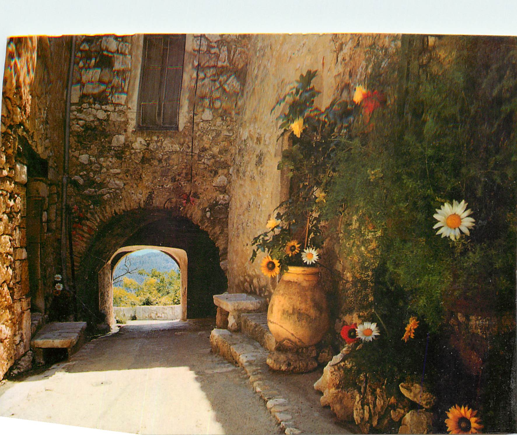 CPM Cote d'Azur Tourrettes sur Loup Alpes Maritimes Cite des violettes Vieille rue pittoresque 