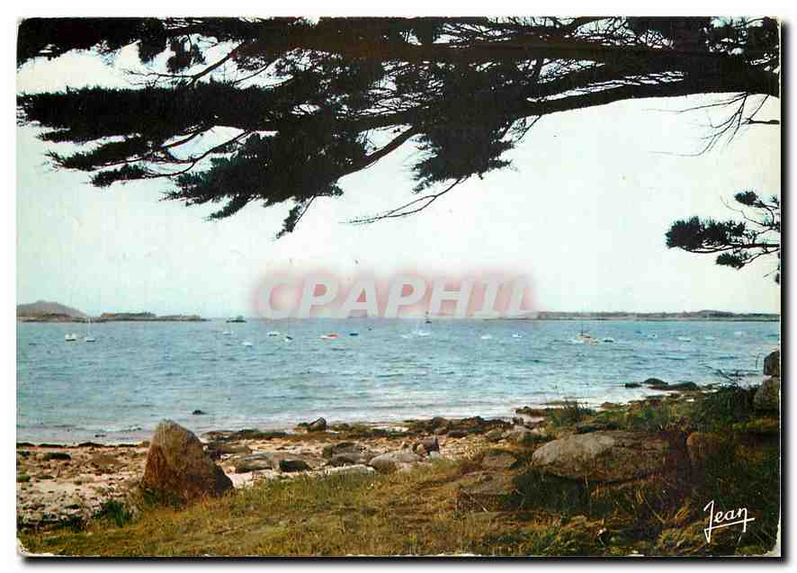 CPM La Bretagne L'Ile Grande C du N Le port de plaisance a gauche L'Ile Milliau a droite L'Ile Molen